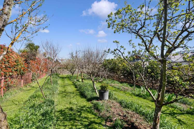 36 Grey Street Martinborough_23