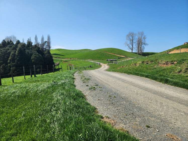 953 State Highway 3 Piopio_5