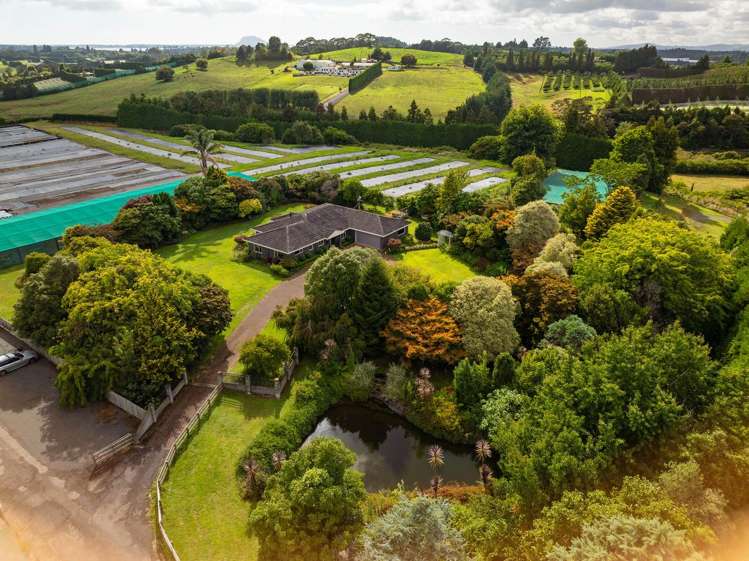 389 Old Highway Whakamarama_7