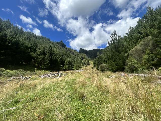 In The Heart Of Okoki