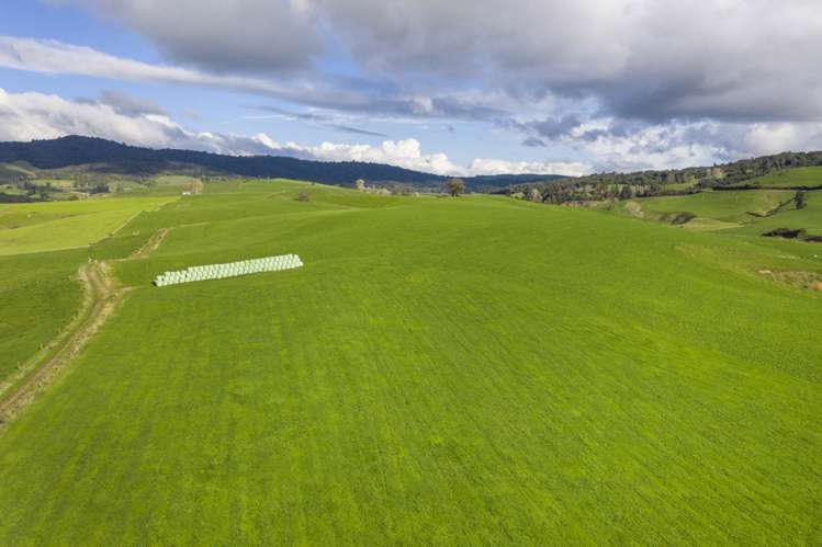 Piakonui Road Richmond Downs_12