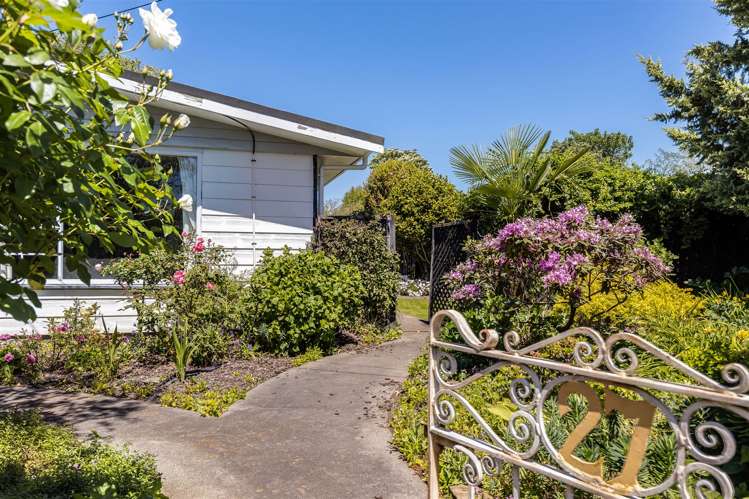 27 Ward Street Springlands_20