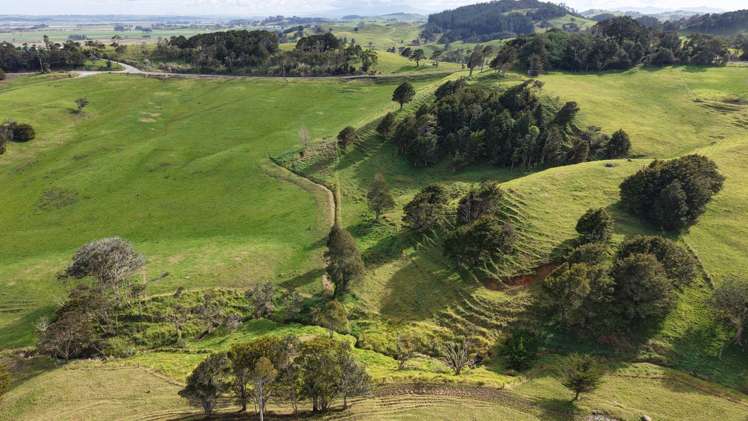 136 Whakahara Road Arapohue_7