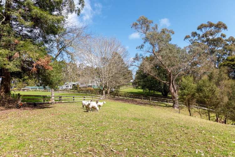 25 Wayby Station Road Wellsford_17