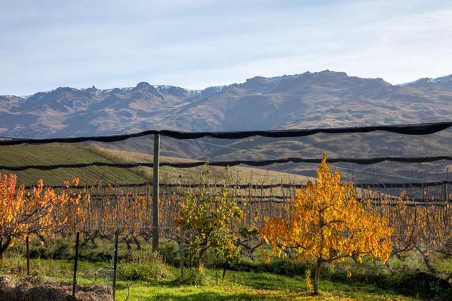 41 Cooper Lane Mount Pisa_3