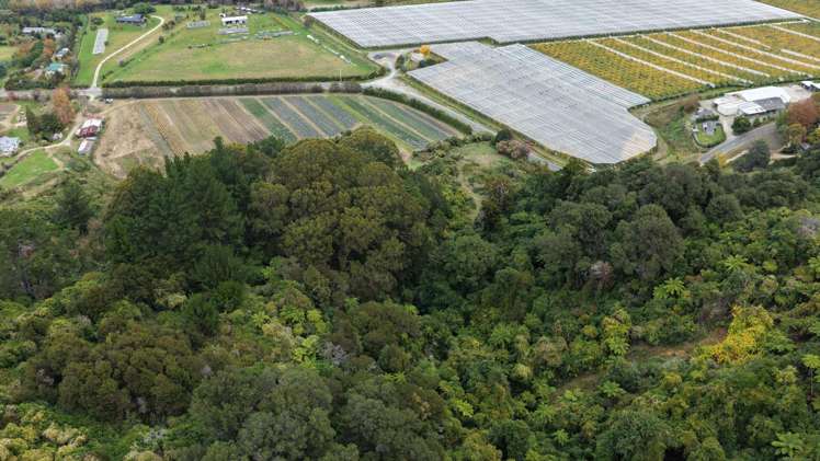 154a Takaka Hill Highway, Riwaka Motueka_15