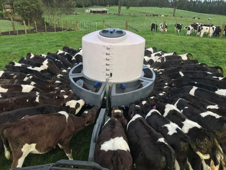 1128d Omanawa Road Kaimai_11