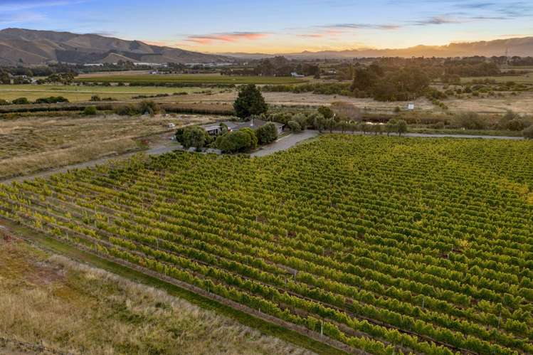 686 Dillons Point Road Dillons Point_25