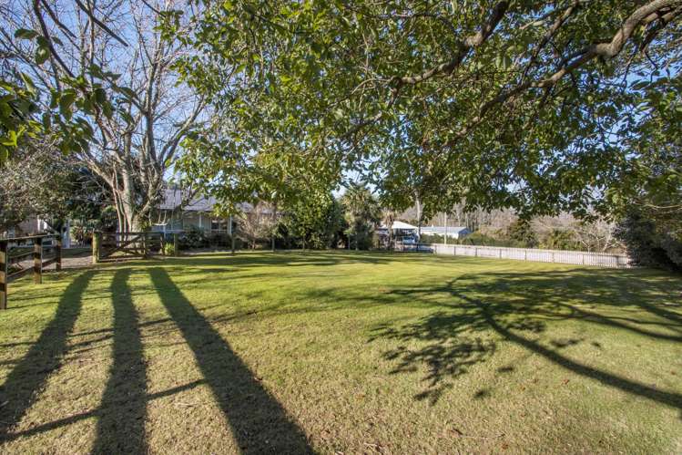 5a George Street Waihi_5