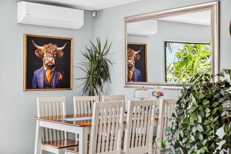 17a Sartors Avenue Browns Bay_6