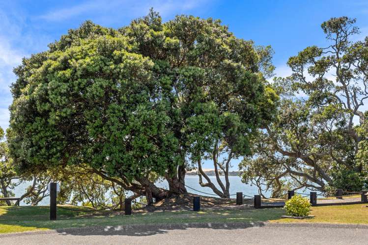 5 Citrus Place Mangawhai_22