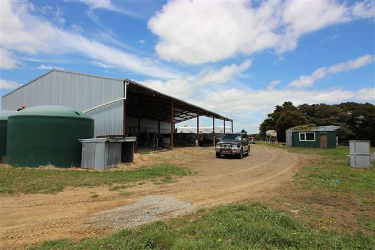 378 Storey Road Waiterimu_6