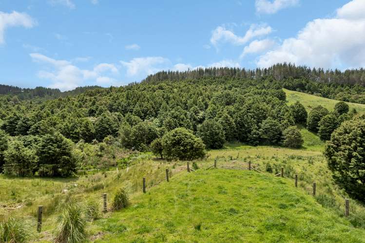 2568e Paparoa-Oakleigh Road Paparoa_20