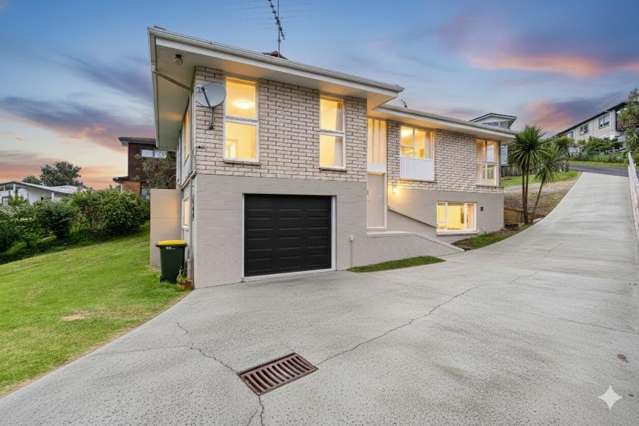 Parkside Paradise. Scale & Solidarity. Willow Park