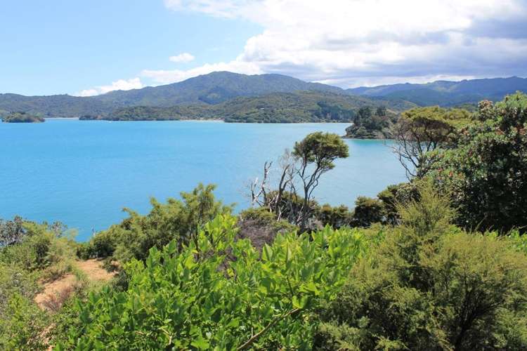 604 Wyuna Bay Road Coromandel_10