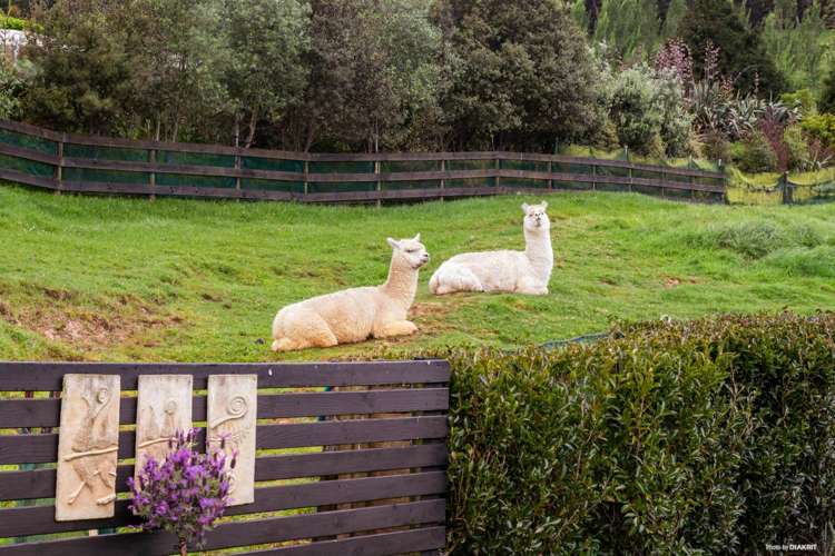 139 Chamberlain Road Bombay_22