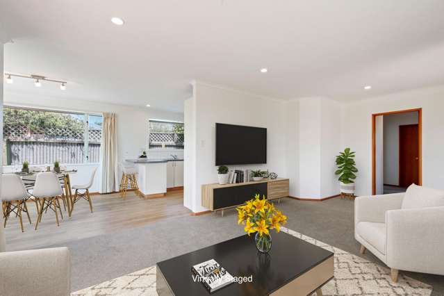 18a Tainui Street Somerfield_1