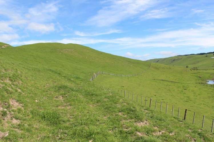 241 Awahuri Road Crownthorpe_5