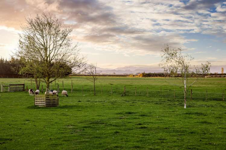 1490 North Eyre Road West Eyreton_9