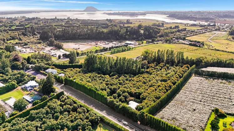 138 Te Puna Road Te Puna_21