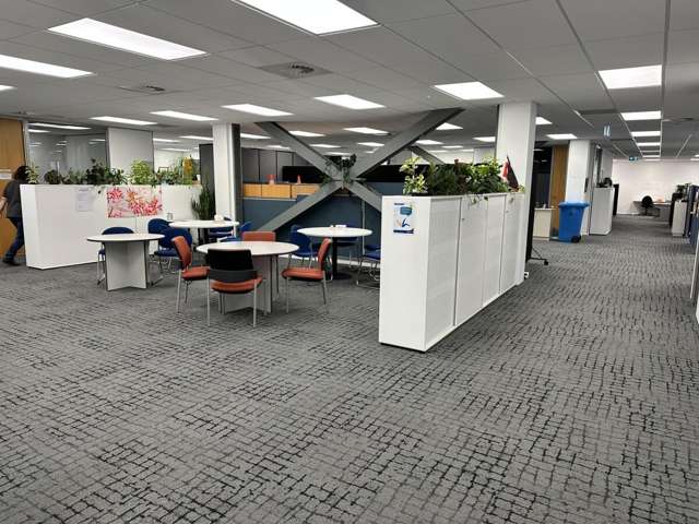 109 Powderham Street New Plymouth_4