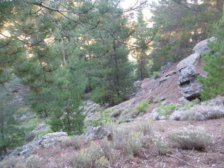 24 The Half Mile Alexandra_3