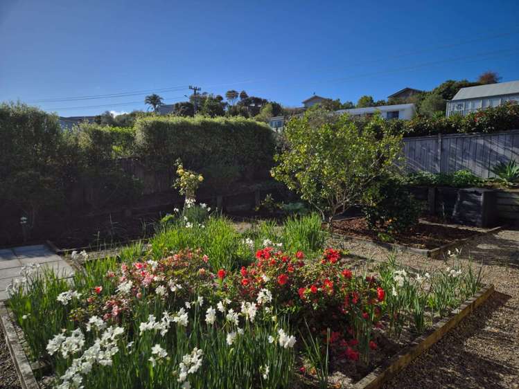 9 Hewson Drive Snells Beach_23