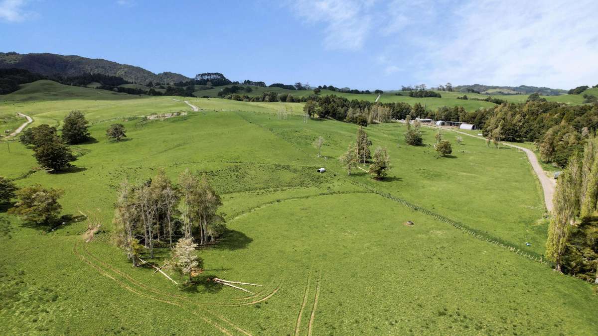 2051 Paparoa-Oakleigh Road_1