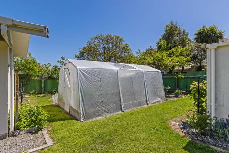 103A Wither Road Witherlea_23
