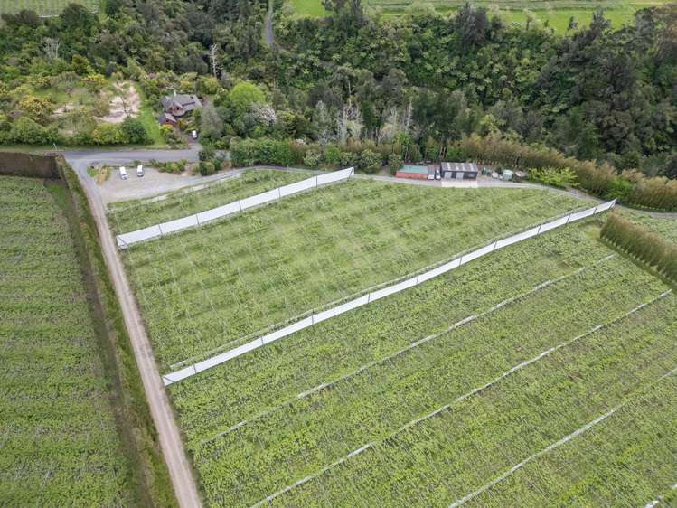 121A No 4 Road Te Puke_8