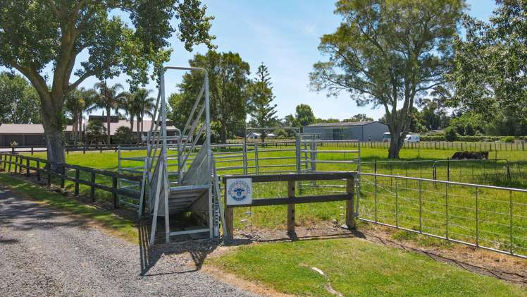 32 Hauraki Road Turua_9