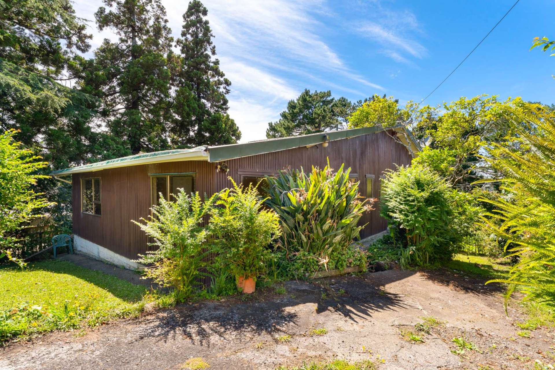 81 Don Buck Road Massey West_0