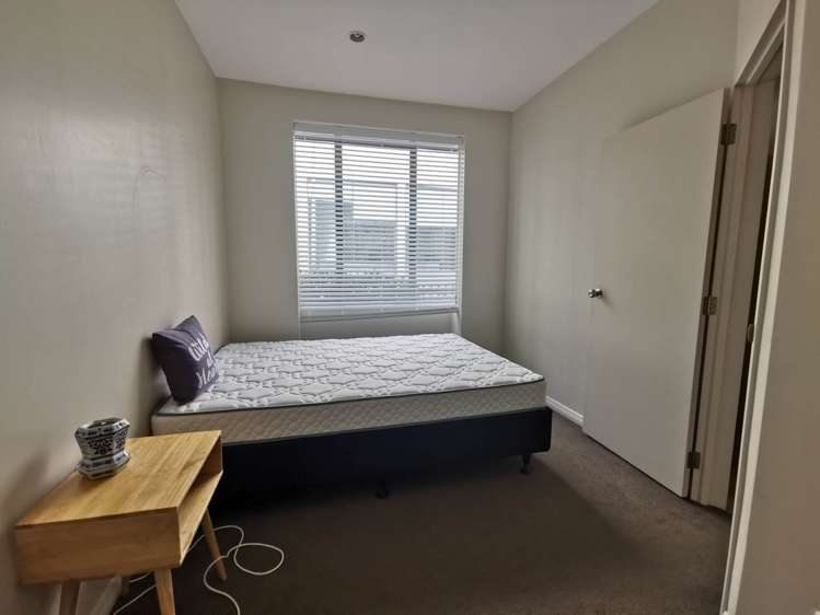 10 Eglon Street Parnell_9