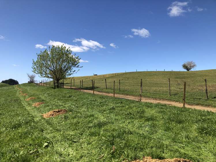 1026 Limeworks Loop Road Karamu_38