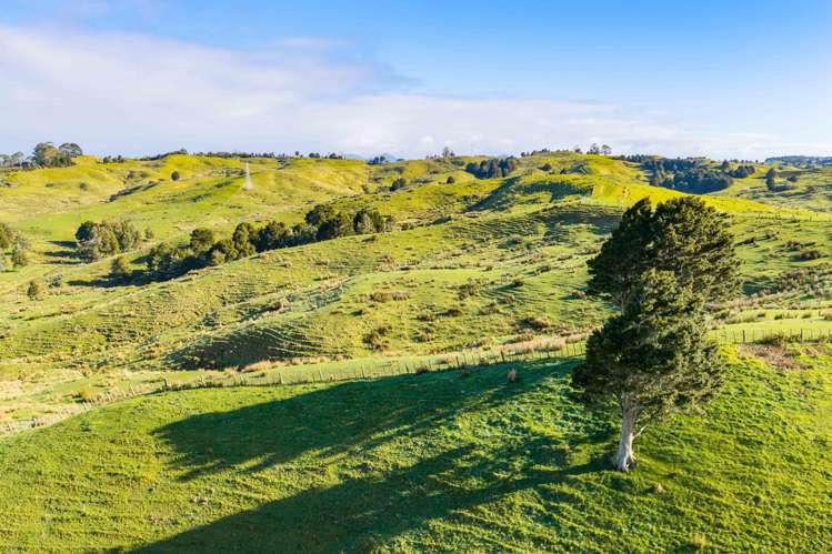 80 Harrison Road Waiotira_9