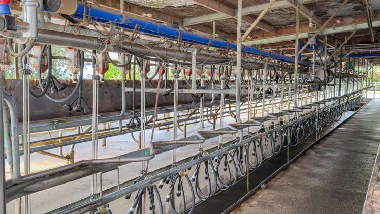 118 + 119 Wharepoa Road Netherton_3