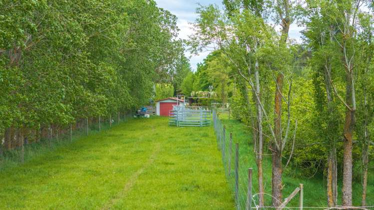 420A Woodfields Road Swannanoa_5