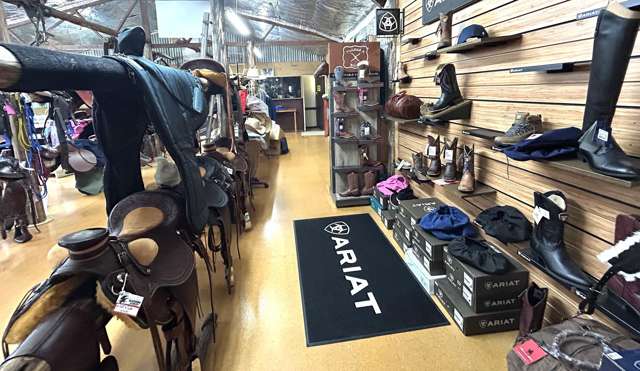 21 Chelmer Street Oamaru_1