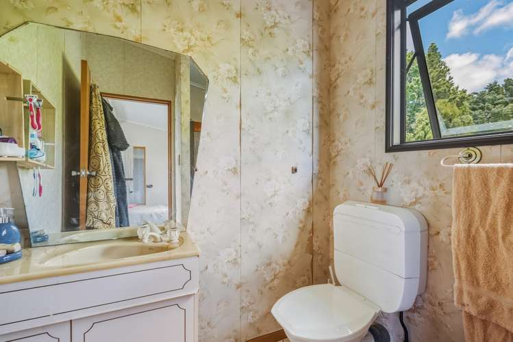 598 Ormandy Road Mangapai_21