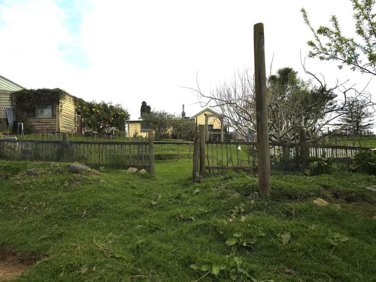 8874 Paeroa Kopu Road Puriri_23