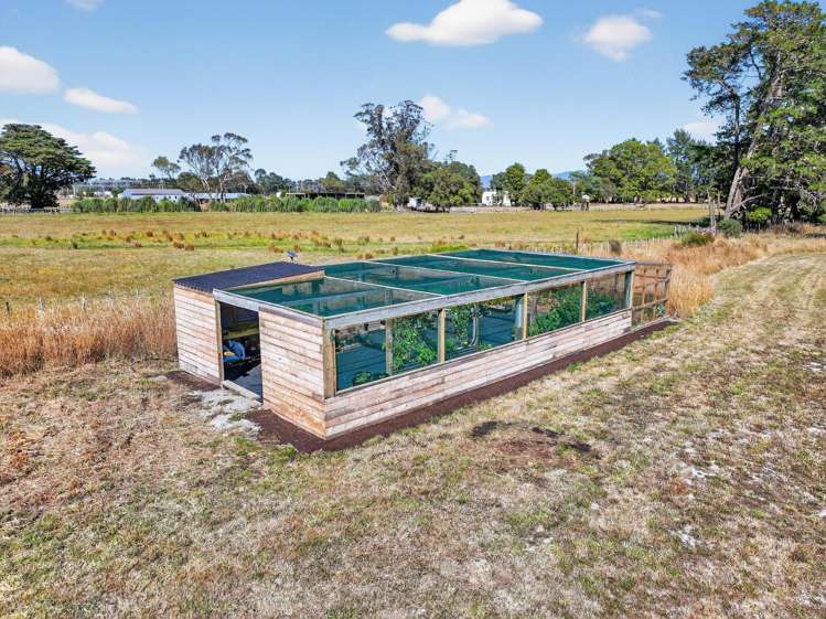 20 Britton Avenue Greytown_31