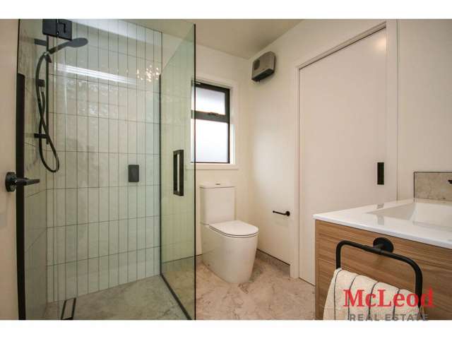 45 Havelock Street Ashburton_2