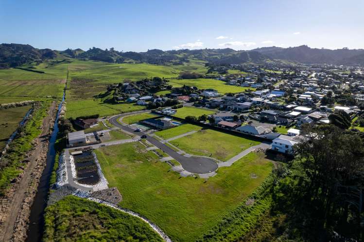 Citrus Avenue Waihi Beach_6