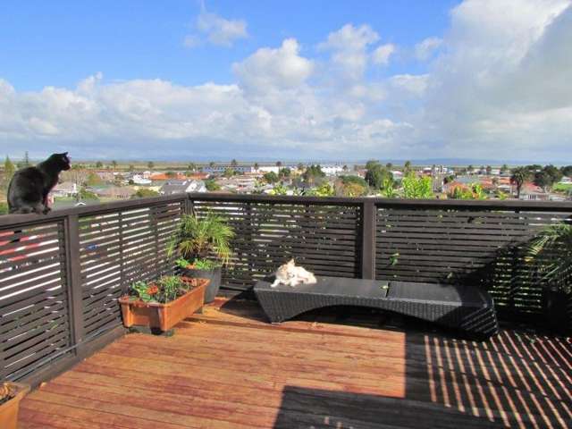 303b Fenton Street Thames_1