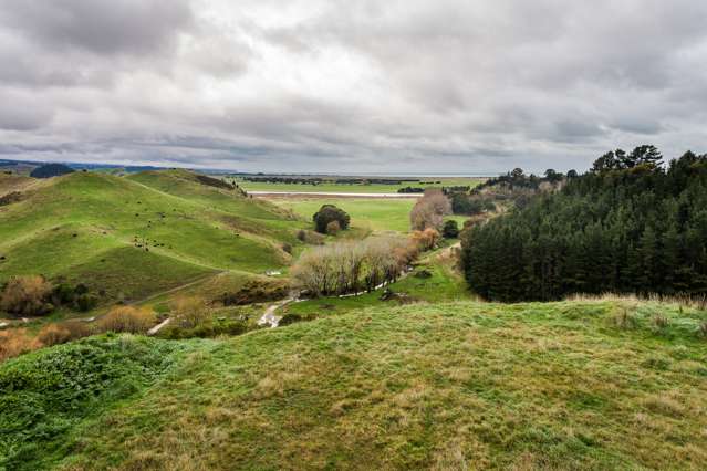 Puketitiri Road Puketapu_2