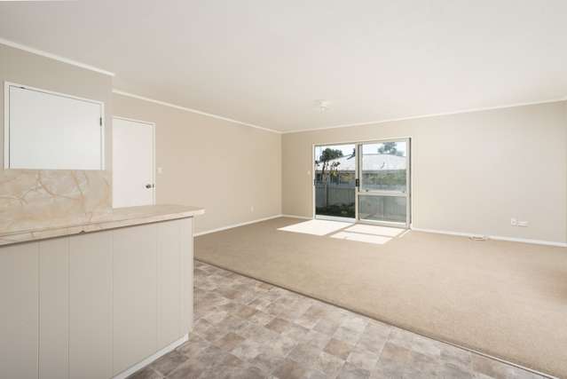 11b Harris Street Te Puke_3