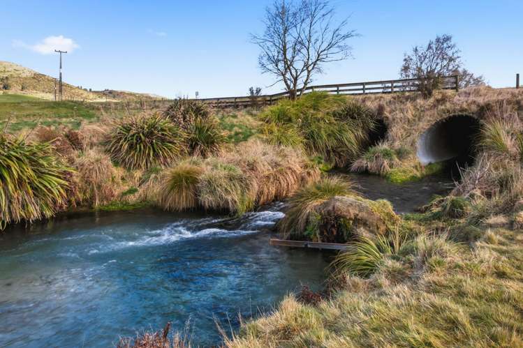 2/1389 Taharua Road Rangitaiki_19