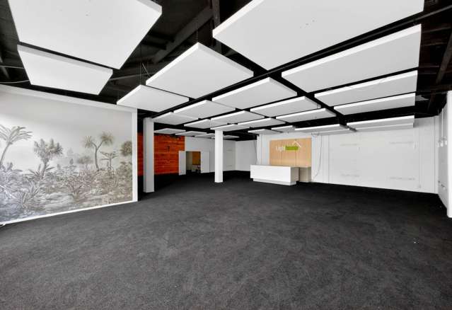 17 Earle Street Parnell_3