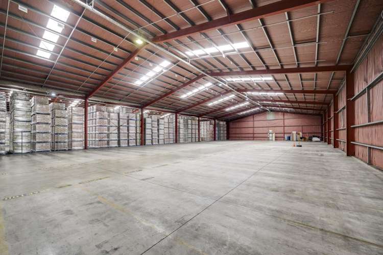 113 Elwood Road Tomoana_3