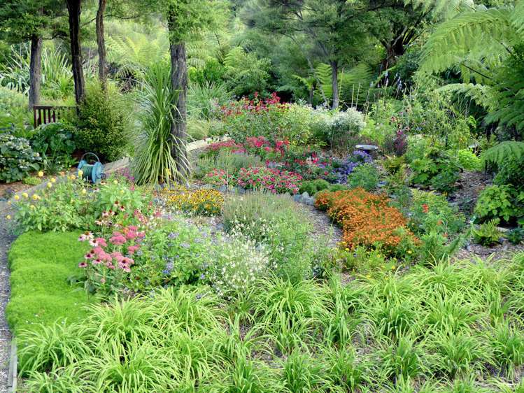 53 Kitewaho Road Swanson_109